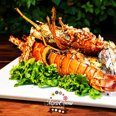 maria-corona-los-cabos-restaurante-reservandonos