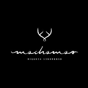 logo Mochomos metepec restaurante