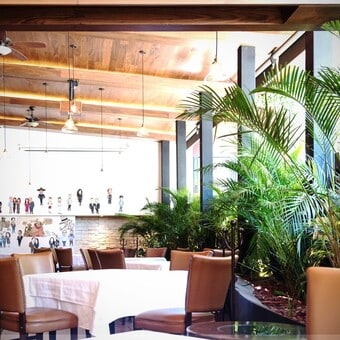 Restaurante The Palm Polanco Reservándonos.com (2)