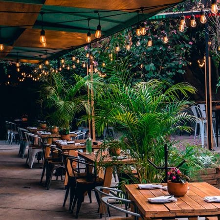 bondades de los mejores restaurantes en cdmx con terraza