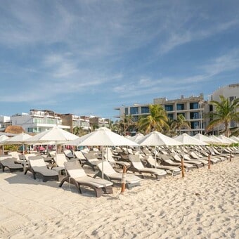Martina Beach Club Playa del Carmen Reservandonos.com