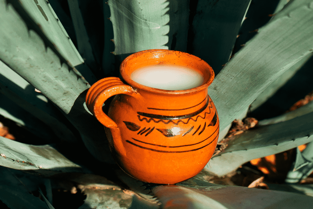 Pulque, la bebida de los dioses