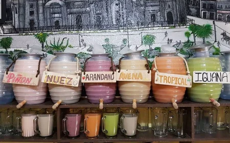 Festival-del-Pulque