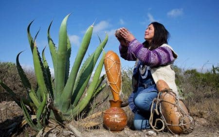 Pulque (1)