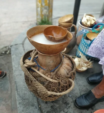 Pulque_en_jicara_en_la_Mixteca_Alta_Oaxaca