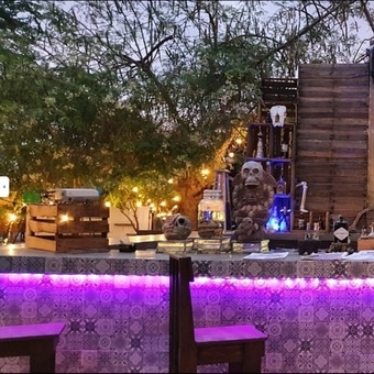 Restaurante Metate Cabos Reservandonos.com (4)