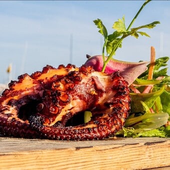 Restaurante La Galería Cabo San Lucas Reservándonos.com (6)