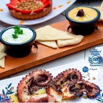 OPA Greek Bistro Puerto Vallarta Reservándonos.com (2)