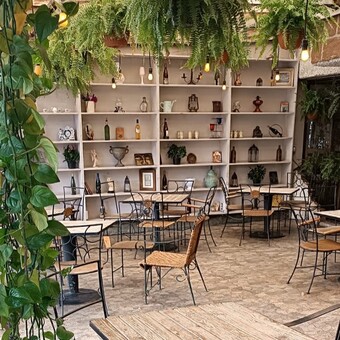 Restaurante Alessa Café Zona Azul con Reservandonos (3)