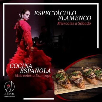 Restaurante Juncal Tablao Flamenco Roma Norte con Reservandonos (10)