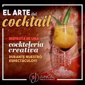 Restaurante Juncal Tablao Flamenco Roma Norte con Reservandonos (11)