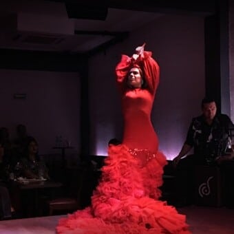 Restaurante Juncal Tablao Flamenco Roma Norte con Reservandonos (4)