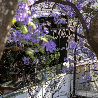 Restaurante Apego Balcón del Sur con Reservándonos (1)