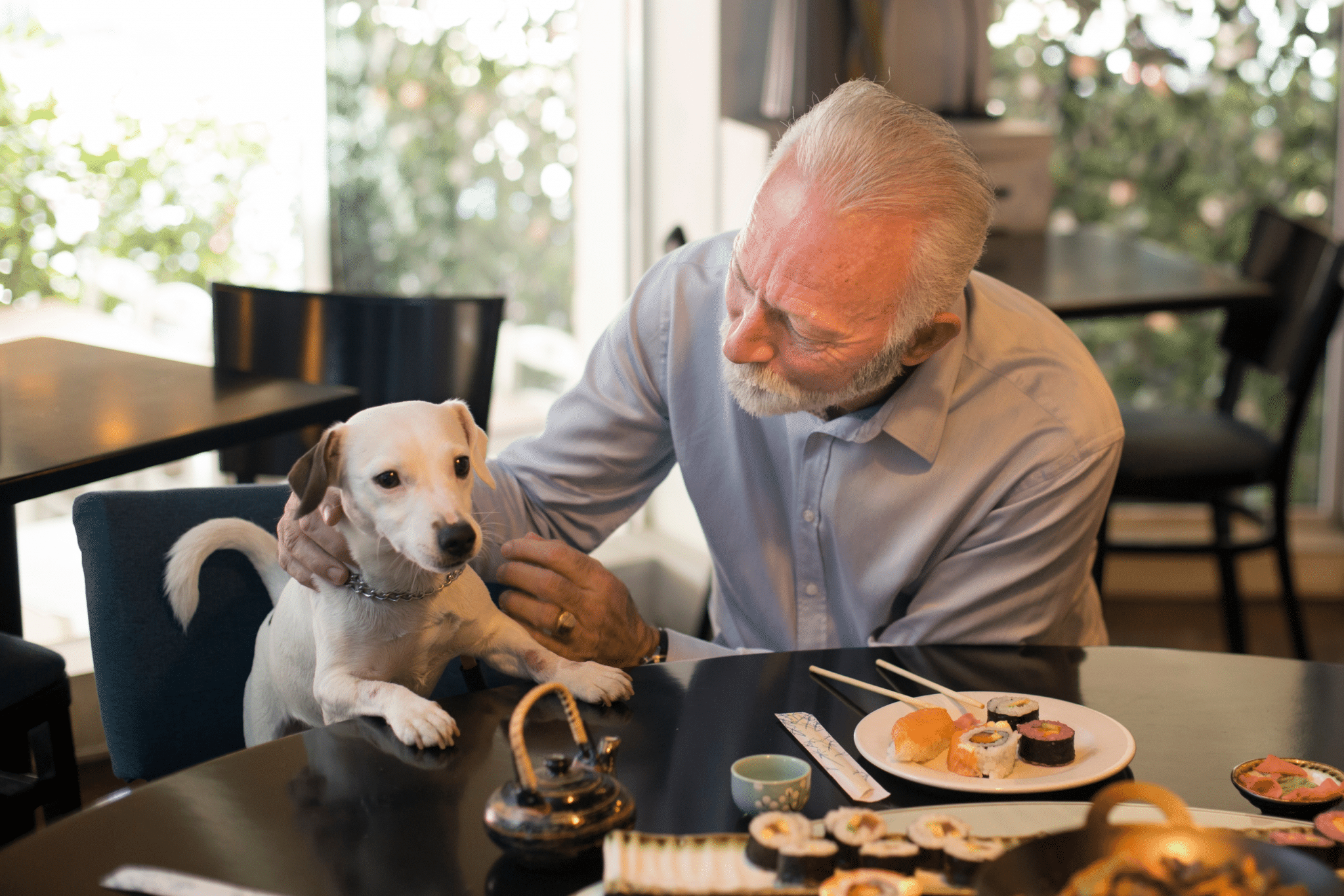 5 Restaurantes Pet Friendly en CDMX