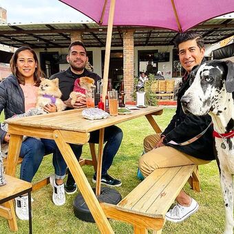 Restaurante Smokey Dog Metepec con Reservandonos (10)