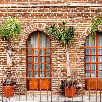 Restaurante El Jardín Café Todos Santos con Reservandonos (4)