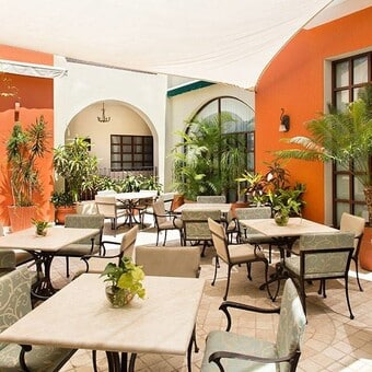Restaurante El Jardín Café Todos Santos con Reservandonos (7)