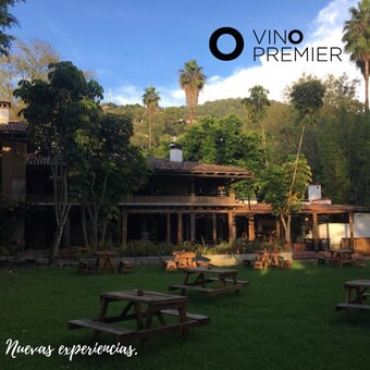 Restaurante Vinopremier Valle De Bravo con Reservandonos (3)