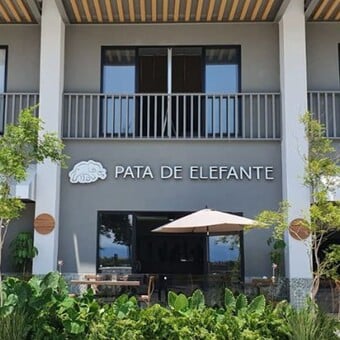 Restaurante Pata de Elefante Nuevo Vallarta con Reservandonos (8)