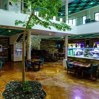 Evass Restaurante Playa del Carmen con Reservándonos (2)