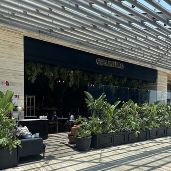 Restaurante Colmillo Artz Pedregal con Reservándonos (1)