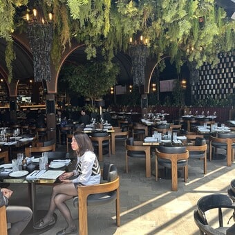 Restaurante Colmillo Artz Pedregal con Reservándonos (2)