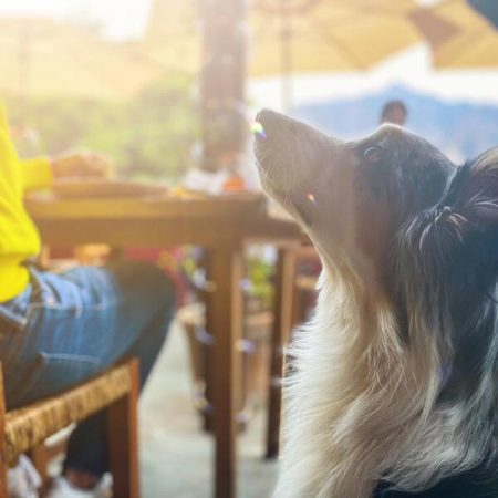 Restaurante Terraza Bendita Santa María Tepoztlán, con Reservándonos (9)