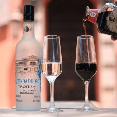 Tequilera Hacienda de Oro Amatitán con Reservándonos (6)