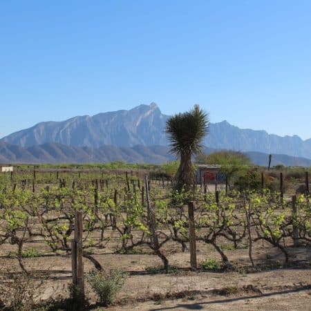 Vinícola Maravillas García, con Reservándonos (2)