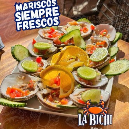 place_4430_gallery_mariscos-la-bichi-manzanillo-reserva-reservandonos-16